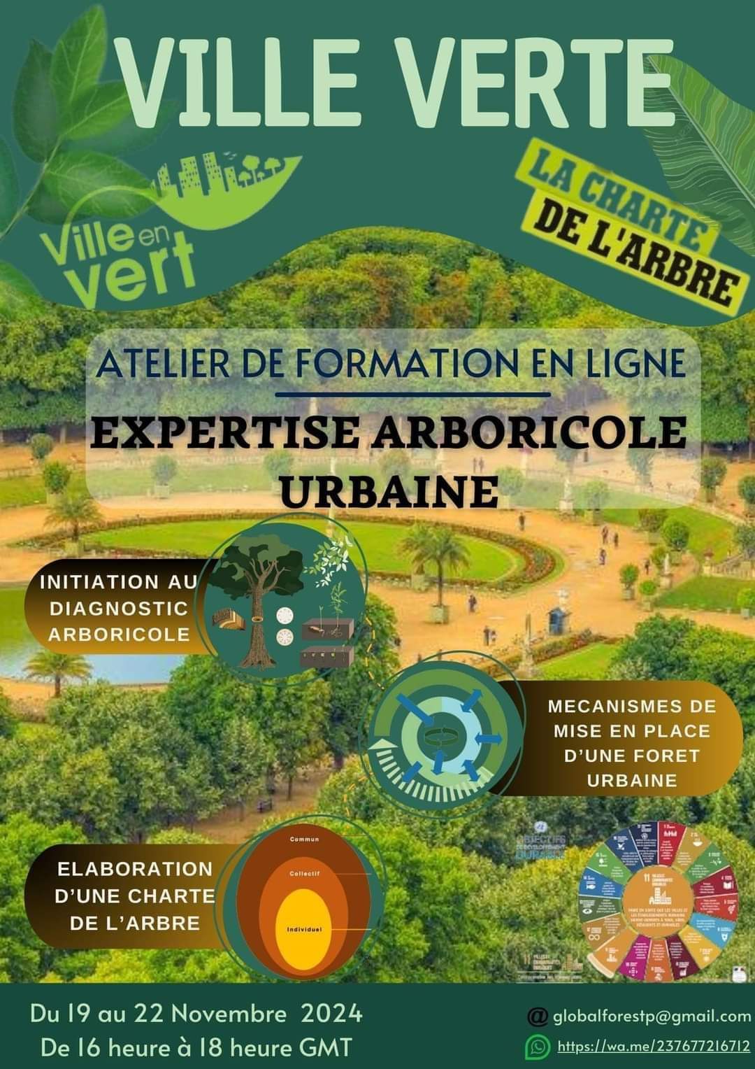 Atelier de Formation en ligne - Expertise Arboricole Urbaine